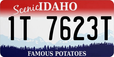 ID license plate 1T7623T