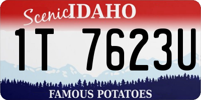 ID license plate 1T7623U