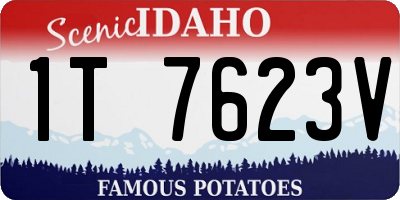 ID license plate 1T7623V