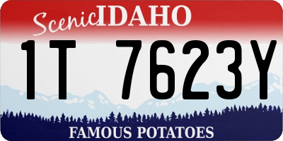 ID license plate 1T7623Y