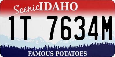 ID license plate 1T7634M