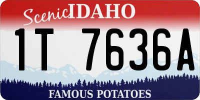 ID license plate 1T7636A