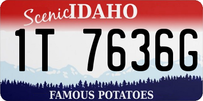 ID license plate 1T7636G