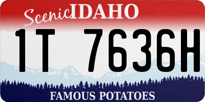 ID license plate 1T7636H