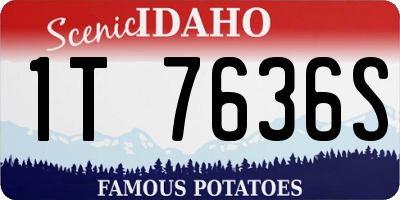 ID license plate 1T7636S