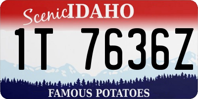 ID license plate 1T7636Z