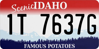 ID license plate 1T7637G