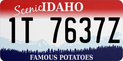 ID license plate 1T7637Z