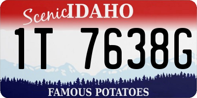 ID license plate 1T7638G