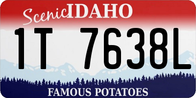 ID license plate 1T7638L