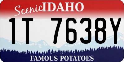 ID license plate 1T7638Y