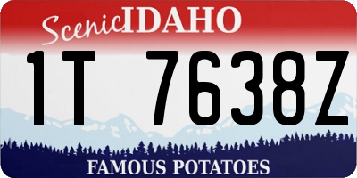 ID license plate 1T7638Z