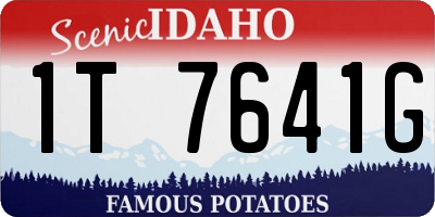 ID license plate 1T7641G