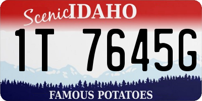 ID license plate 1T7645G