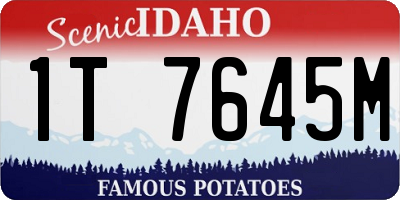 ID license plate 1T7645M
