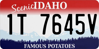 ID license plate 1T7645V