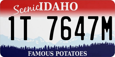 ID license plate 1T7647M