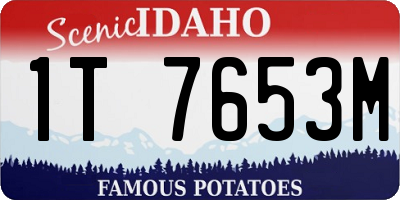 ID license plate 1T7653M
