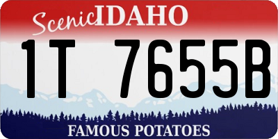 ID license plate 1T7655B