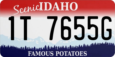 ID license plate 1T7655G