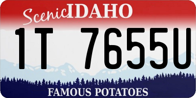 ID license plate 1T7655U