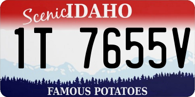 ID license plate 1T7655V