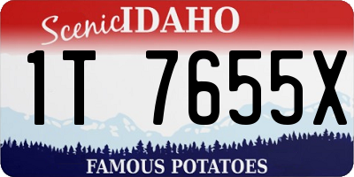 ID license plate 1T7655X