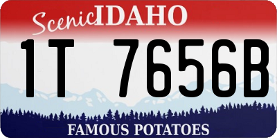 ID license plate 1T7656B
