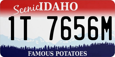 ID license plate 1T7656M