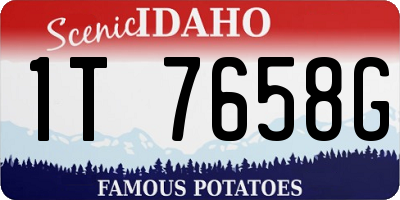 ID license plate 1T7658G