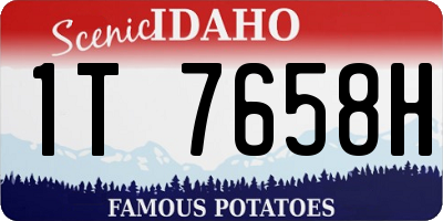 ID license plate 1T7658H