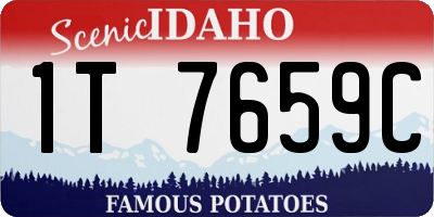 ID license plate 1T7659C