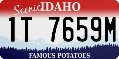 ID license plate 1T7659M