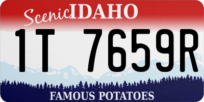 ID license plate 1T7659R