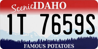 ID license plate 1T7659S