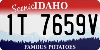 ID license plate 1T7659V