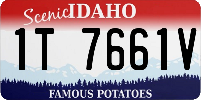 ID license plate 1T7661V