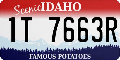ID license plate 1T7663R