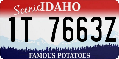 ID license plate 1T7663Z