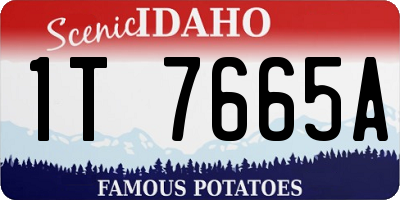 ID license plate 1T7665A