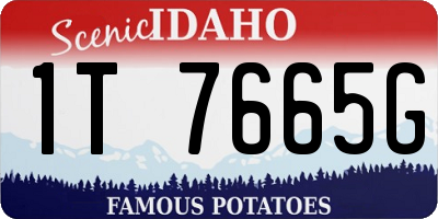 ID license plate 1T7665G