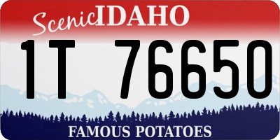 ID license plate 1T7665O