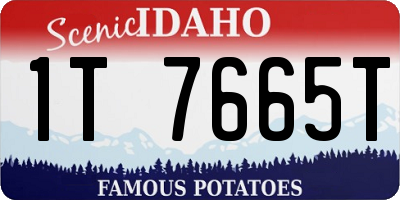 ID license plate 1T7665T