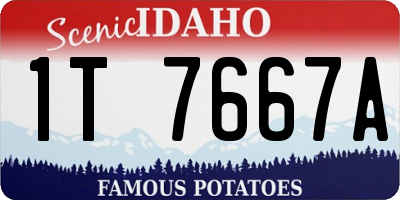 ID license plate 1T7667A
