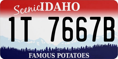 ID license plate 1T7667B