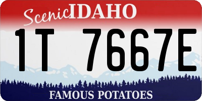 ID license plate 1T7667E