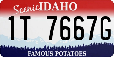 ID license plate 1T7667G