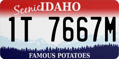 ID license plate 1T7667M