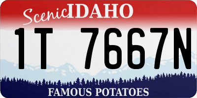 ID license plate 1T7667N