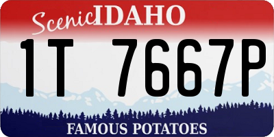 ID license plate 1T7667P